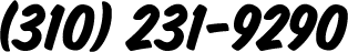 (310)231-9290